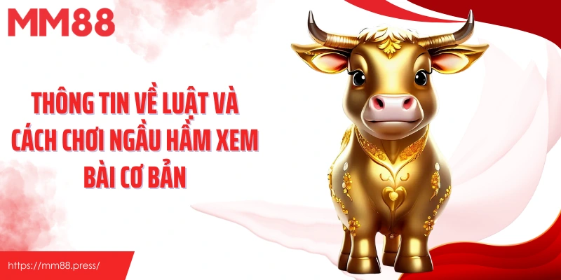 Thông tin về luật và cách chơi Ngầu Hầm xem bài cơ bản